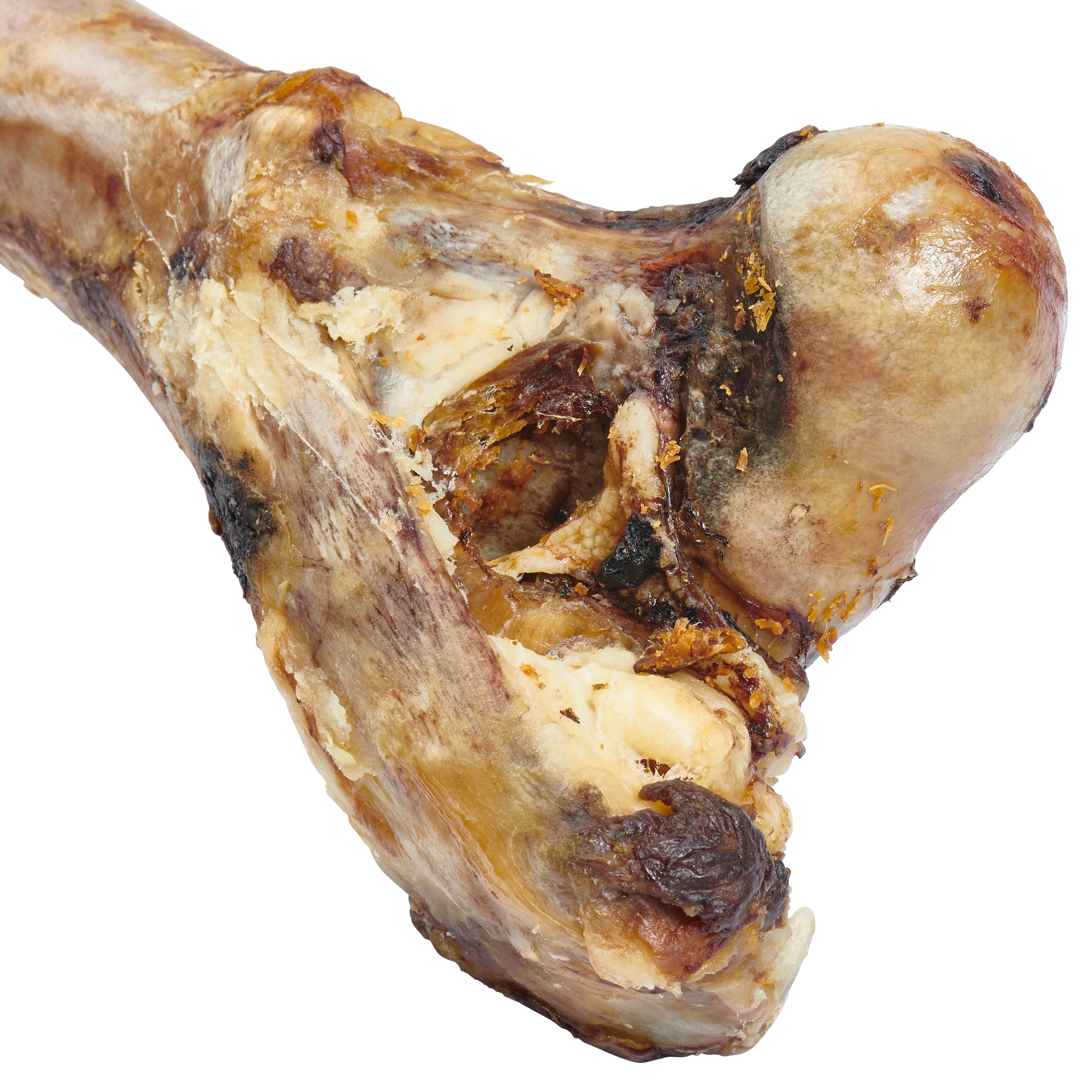 Riesen-Knochen für große Hunde – 100% Natur