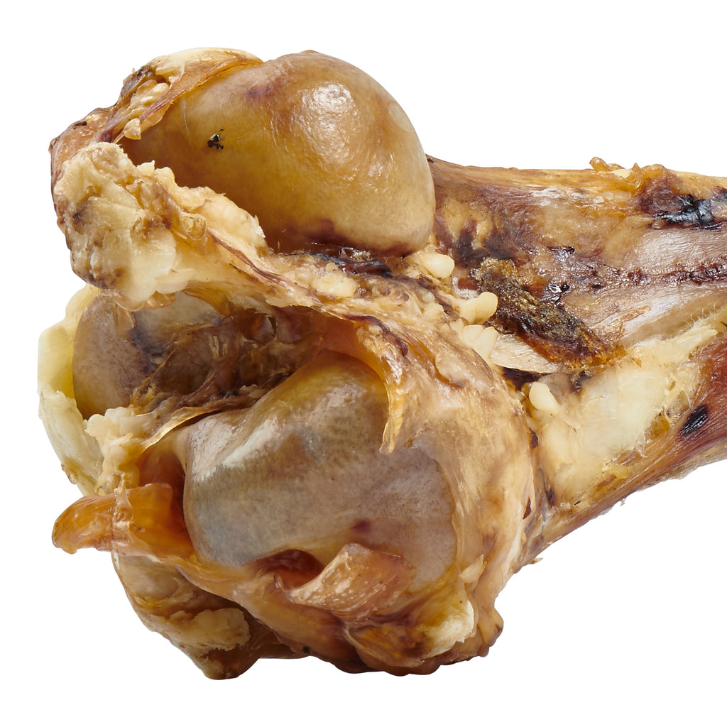 Riesen-Knochen für große Hunde – 100% Natur
