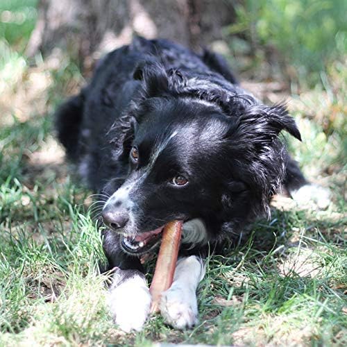 100 % Natürliche Brazilian Bully Sticks – 450g Beutel
