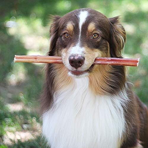 100 % Natürliche Brazilian Bully Sticks – 450g Beutel