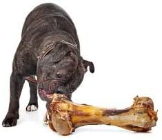 Riesen-Knochen für große Hunde – 100% Natur