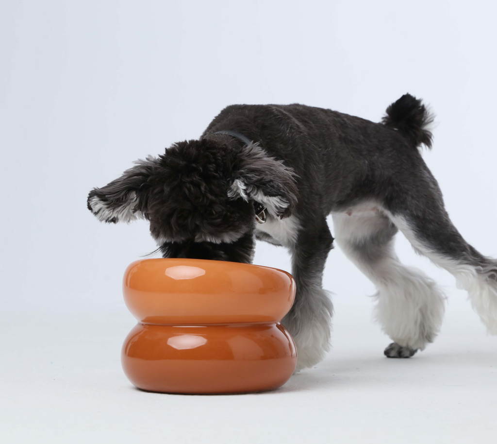 Soufflé Futternapf – Bernstein-Orange