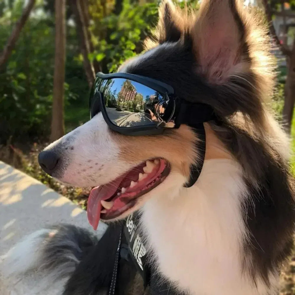 Verstellbare Hunde-Sonnenbrille mit UV-Schutz – Stylisch & sicher unterwegs!