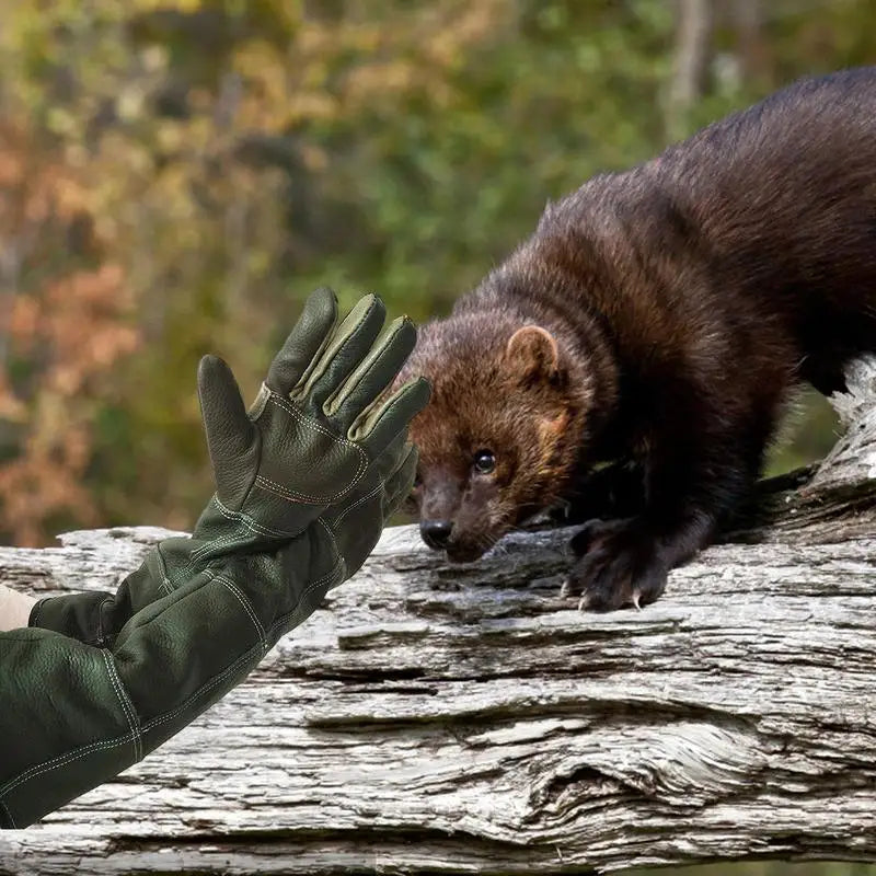 Profi-Schutzhandschuhe aus verdicktem Rindsleder – 60 cm Lang