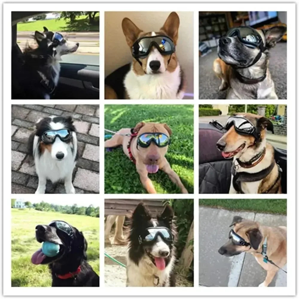 Verstellbare Hunde-Sonnenbrille mit UV-Schutz – Stylisch & sicher unterwegs!