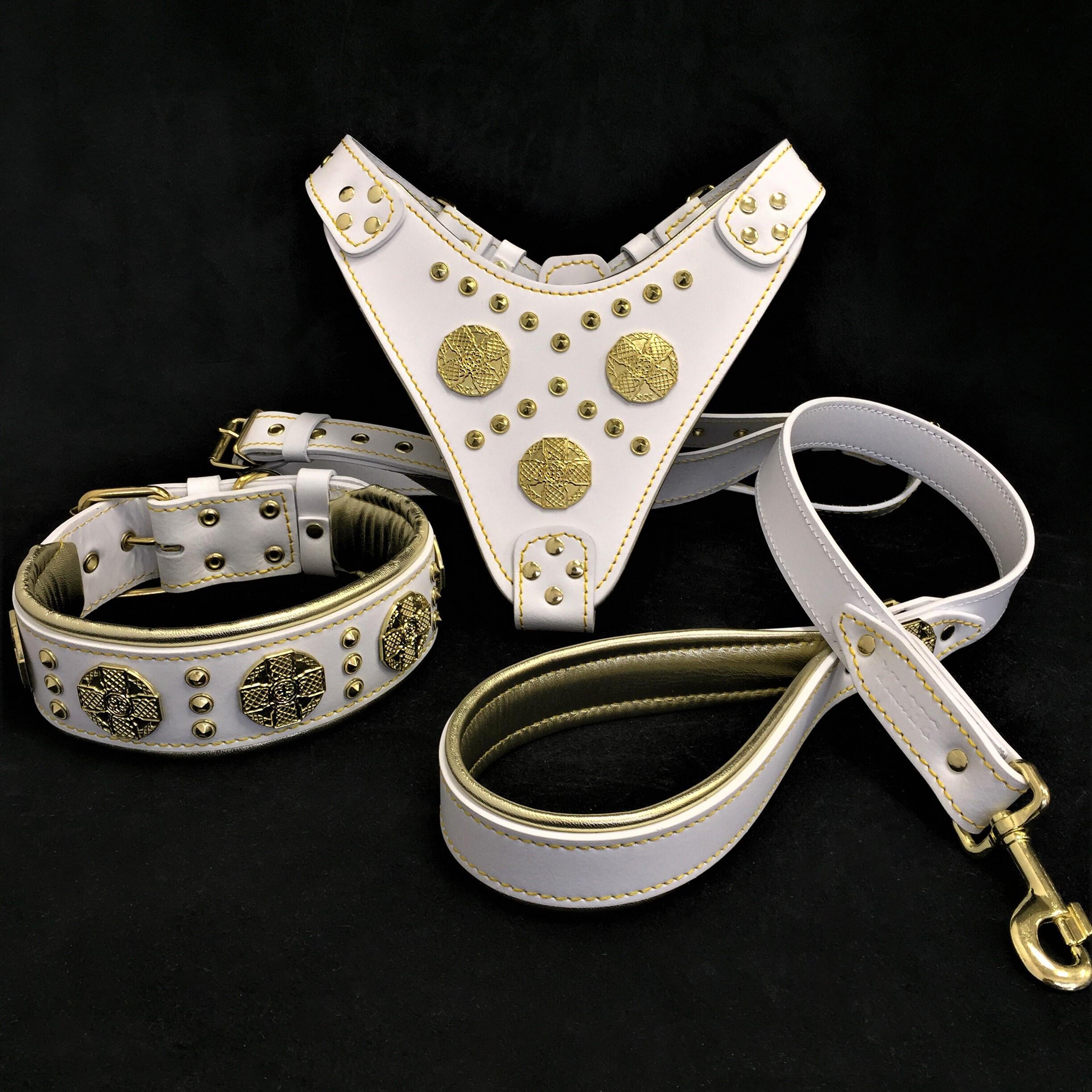 “Maximus White” Hunde-Set für große Hunde – Geschirr, Halsband & Leine mit Messingnieten