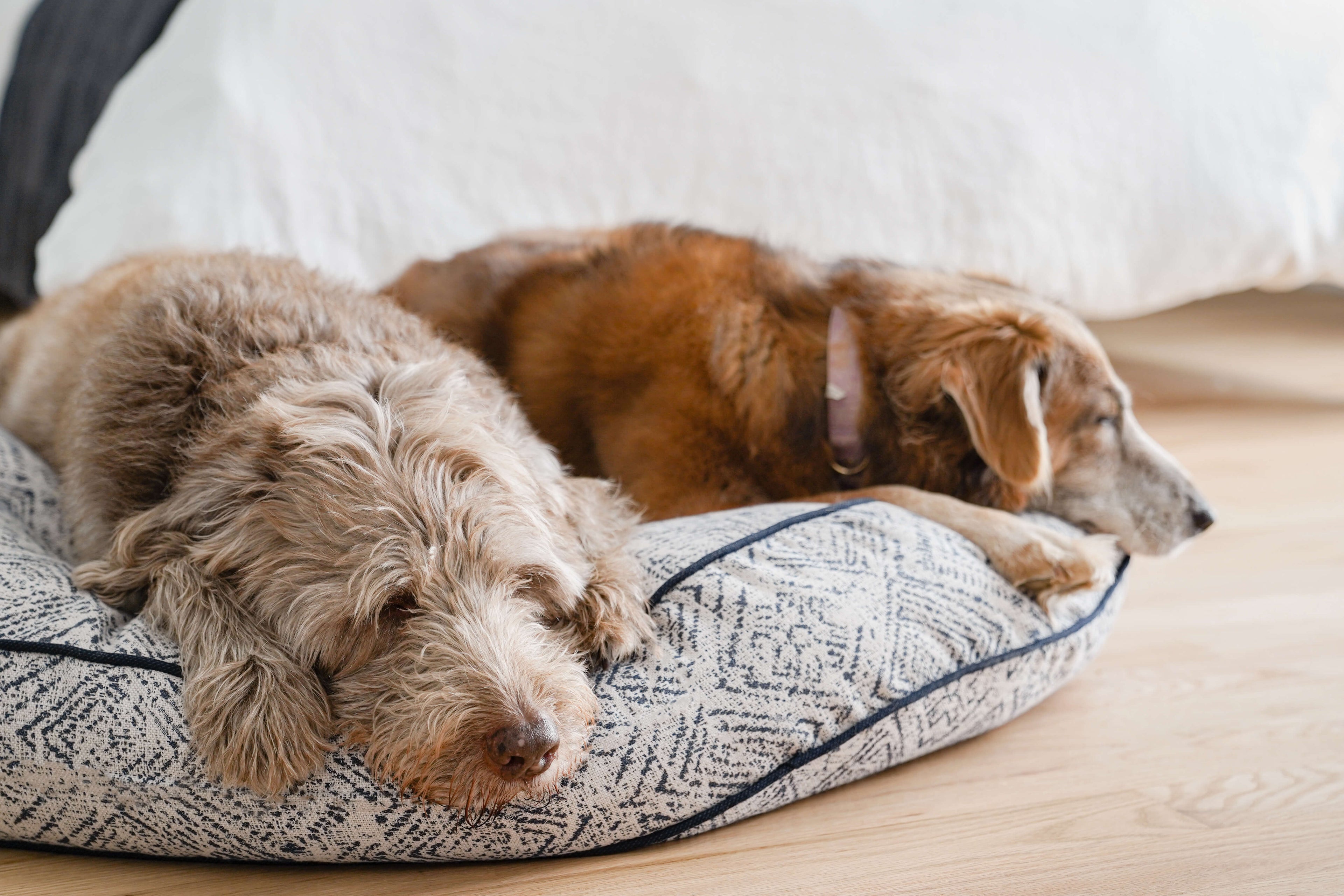 Hundebett - Grau