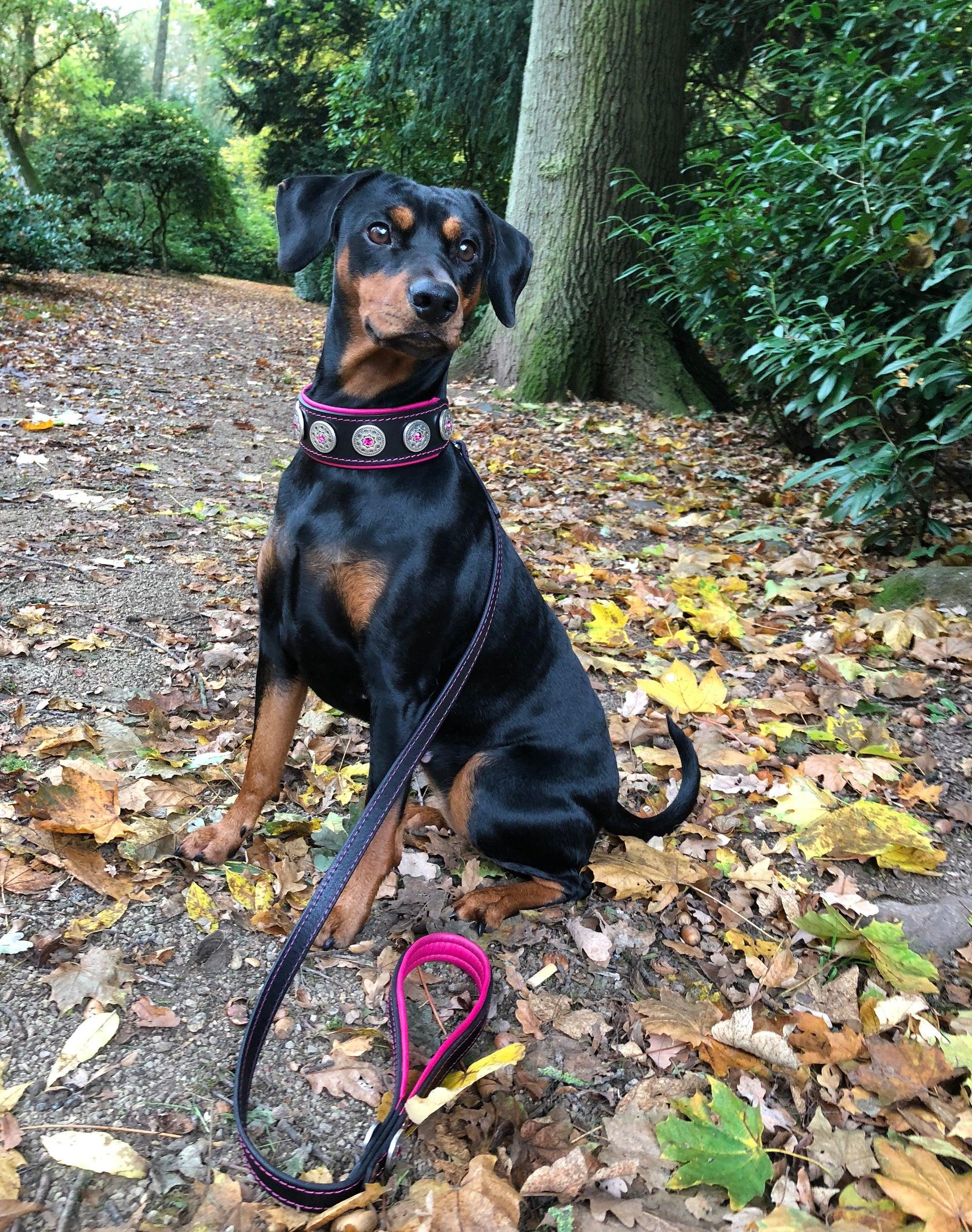 „Bijou“ Halsband Schwarz & Pink – edel & komfortabel